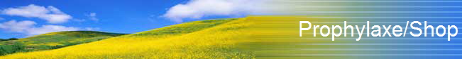 Prophylaxe/Shop