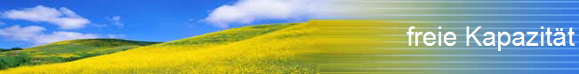 freie Kapazitt